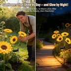 2026 UPGRADED Solar Sunflowers – Hyper-Realistic Petals, Stunning Shadow Projections & Dusk-to-Dawn Garden Magic 🌻