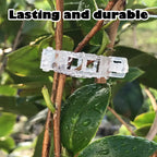 100 Counts Plant Support Clips, Upright Growth Support for Tomato & Grape Vines