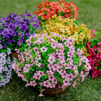 💐 UV-Resistant Colorful Artificial Flowers – 49% OFF Today Only 🌸
