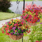 FREE SHIPPING!🔥Simulated Hanging Flower Basket 🌸No Watering💧. No Wilting. Just Perfect Blooms.