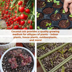 🔥LAST DAY 49% OFF🌱Premium Organic Coconut Coir Bricks for Plants