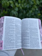 🔥LAST DAY 50% OFF -📖Beautiful KJV Pink Leather Soft Giant Print Bible with Ombre Tabs🙏🏼