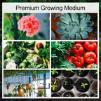 🔥LAST DAY 49% OFF🌱Premium Organic Coconut Coir Bricks for Plants